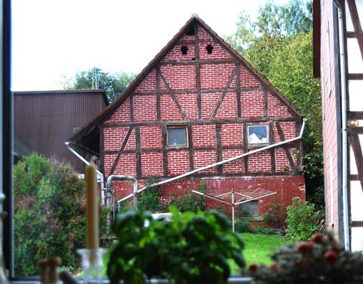 Ausblick aus dem Küchenfenster links