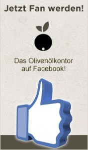 Fan werden auf Facebook